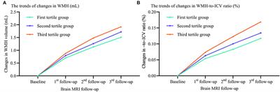 Excessive Visit-to-Visit Small and Dense Low-Density Lipoproteins Elevate Cerebral Small Vessel Disease Progression Risk in the Elderly